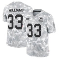 GB.Packers #33 Evan Williams Player Arctic Camo Salute To Service Limited ROCER Stitched Jerseys